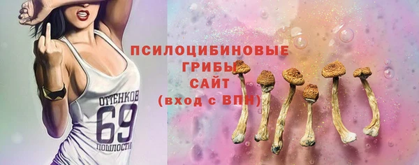 синтетический гашиш Алексин