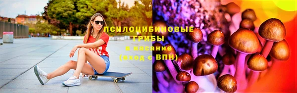 спайс Алзамай