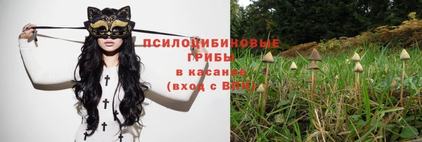 дживик Армянск