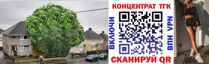 купить  цена  Карачев  ТГК THC oil 